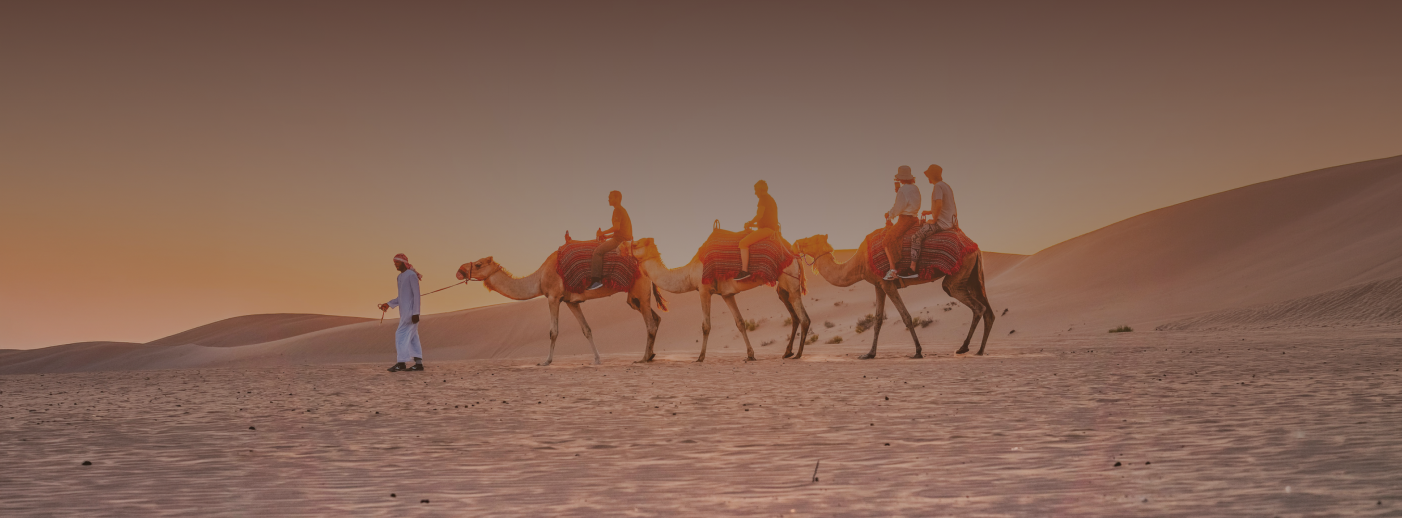 Camel caravan at sunrise in the Dubai desert